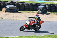 enduro-digital-images;event-digital-images;eventdigitalimages;lydden-hill;lydden-no-limits-trackday;lydden-photographs;lydden-trackday-photographs;no-limits-trackdays;peter-wileman-photography;racing-digital-images;trackday-digital-images;trackday-photos